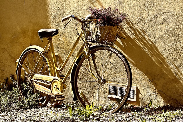 velo_pixabay