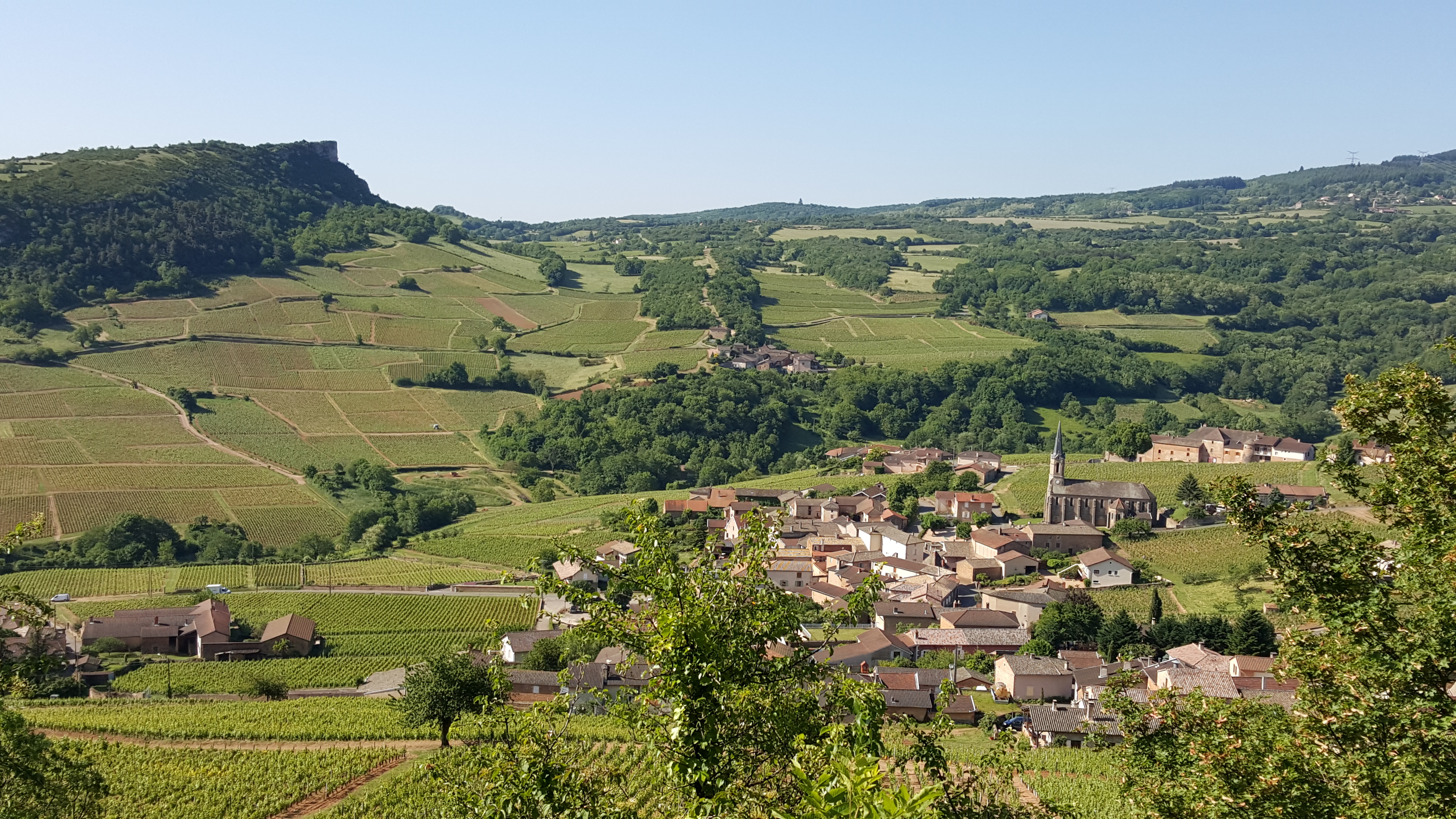 Vignoble de Vergisson
