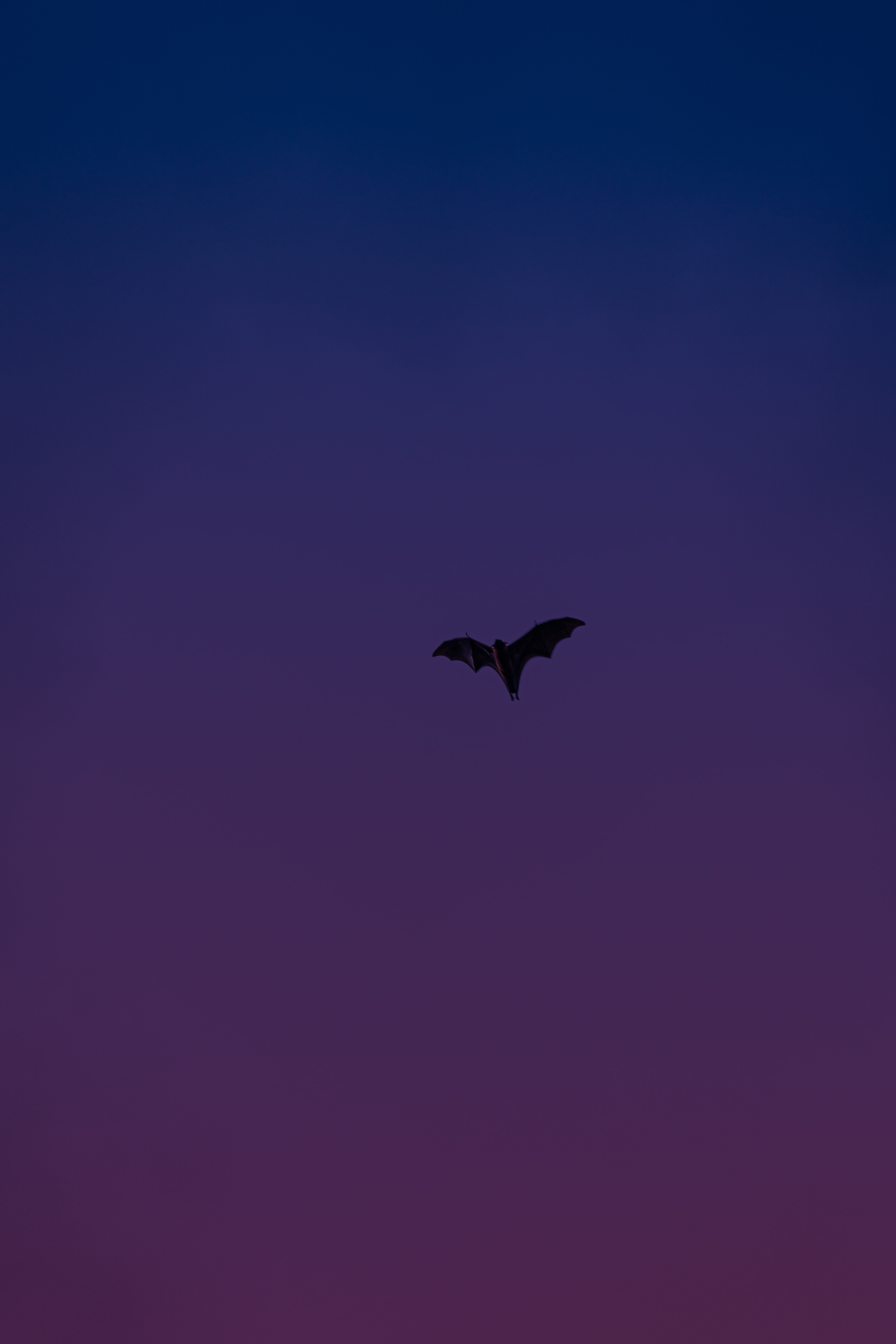 vikram-nair-TVcmspelcqI-unsplash