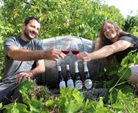 Portes ouvertes du Vignoble Vincent Cheviet à Bucey-lès-Gy