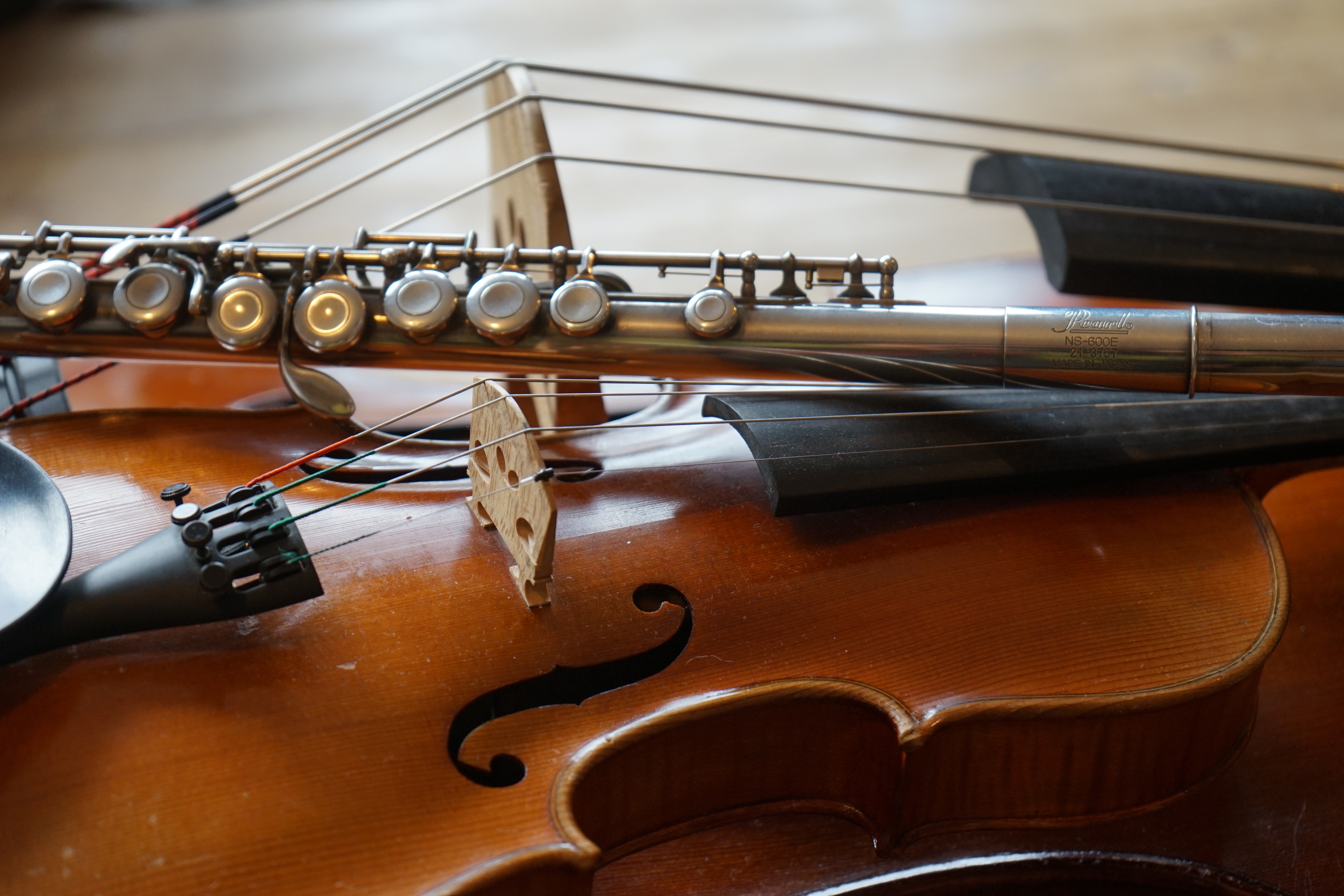 Violon