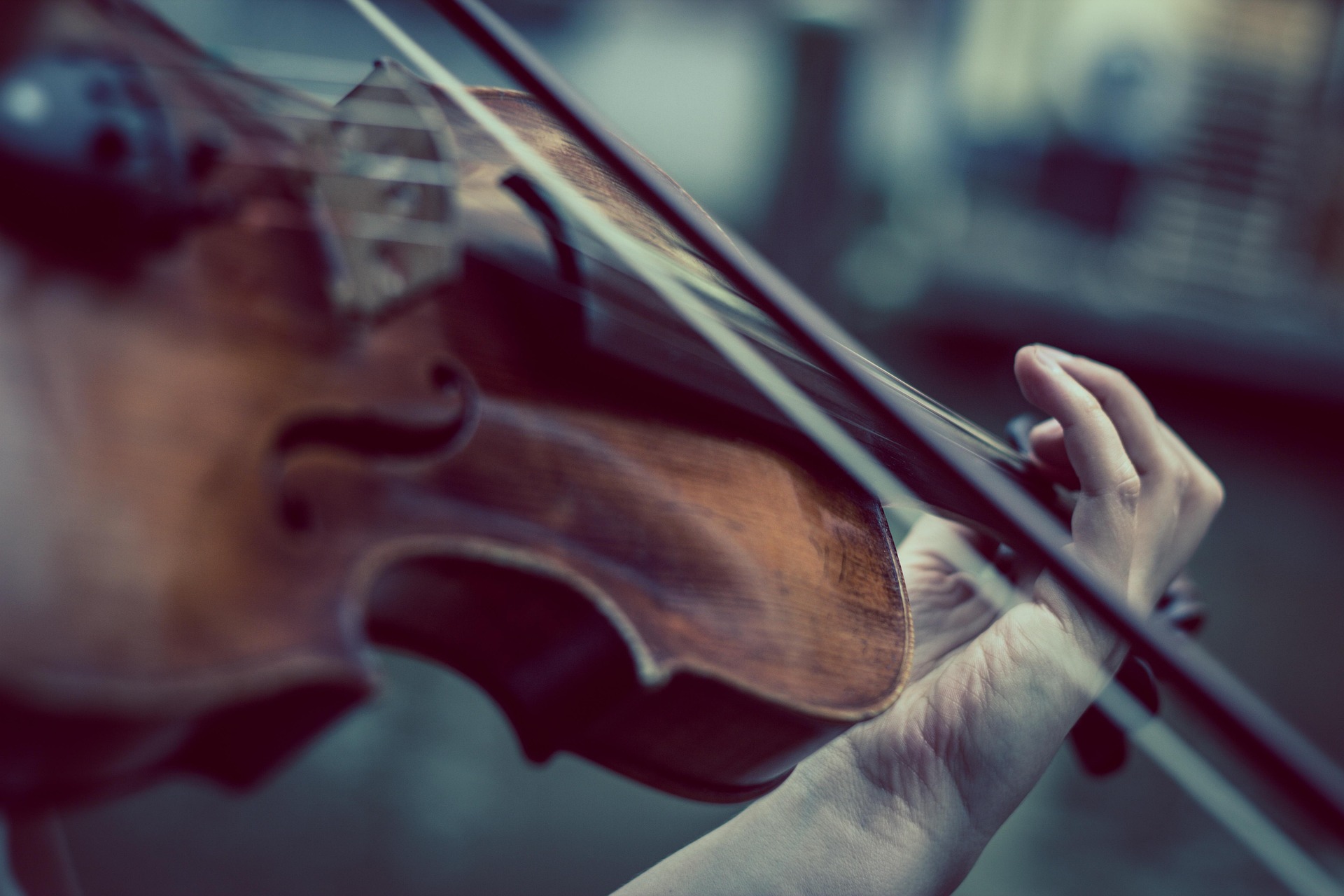 violon