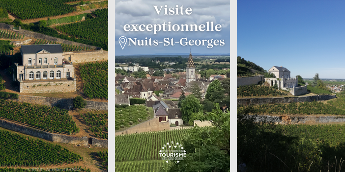 Visite exceptionnelle à Nuits-Saint-Georges : le Château Gris