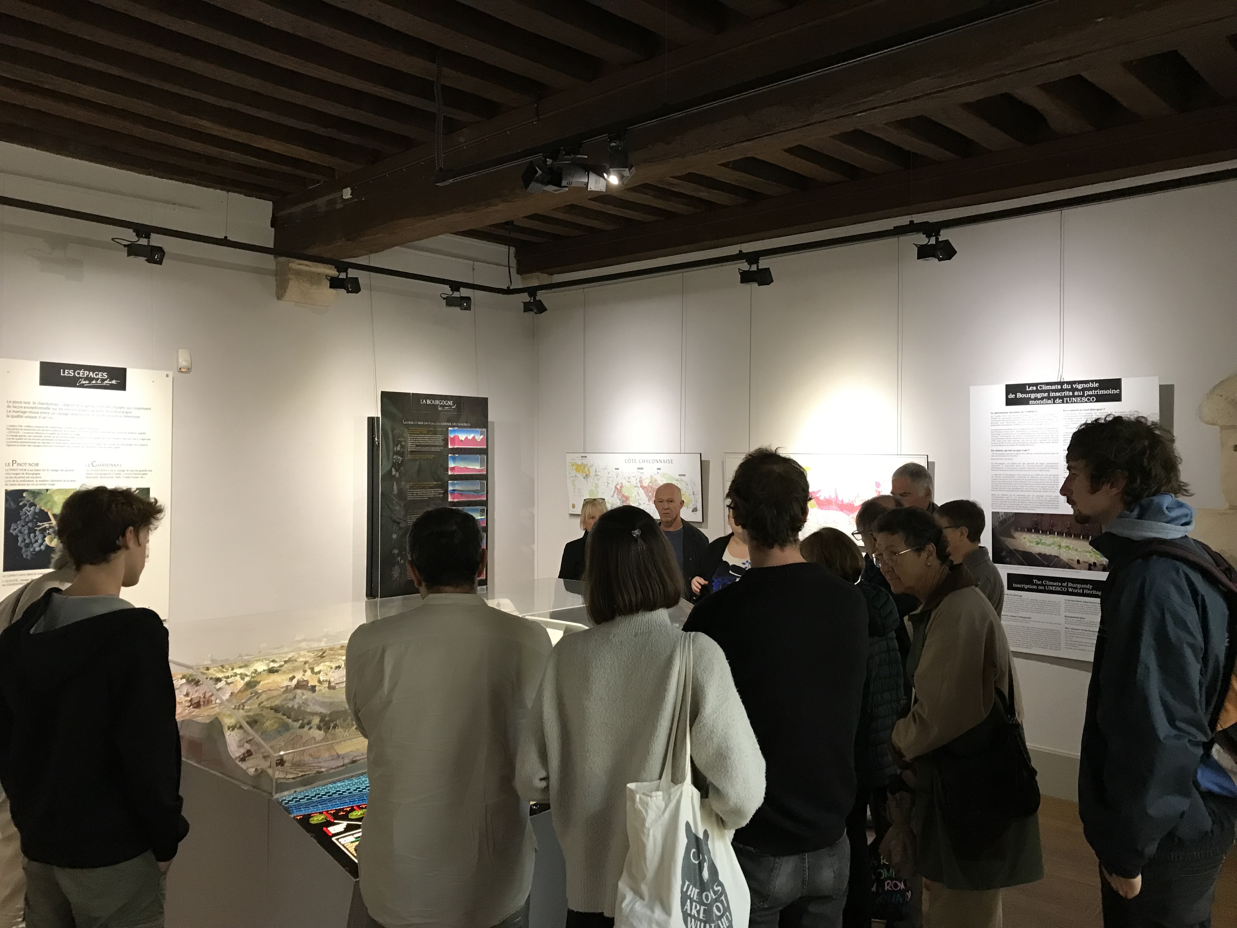 Visite des Climats au musée du Vin