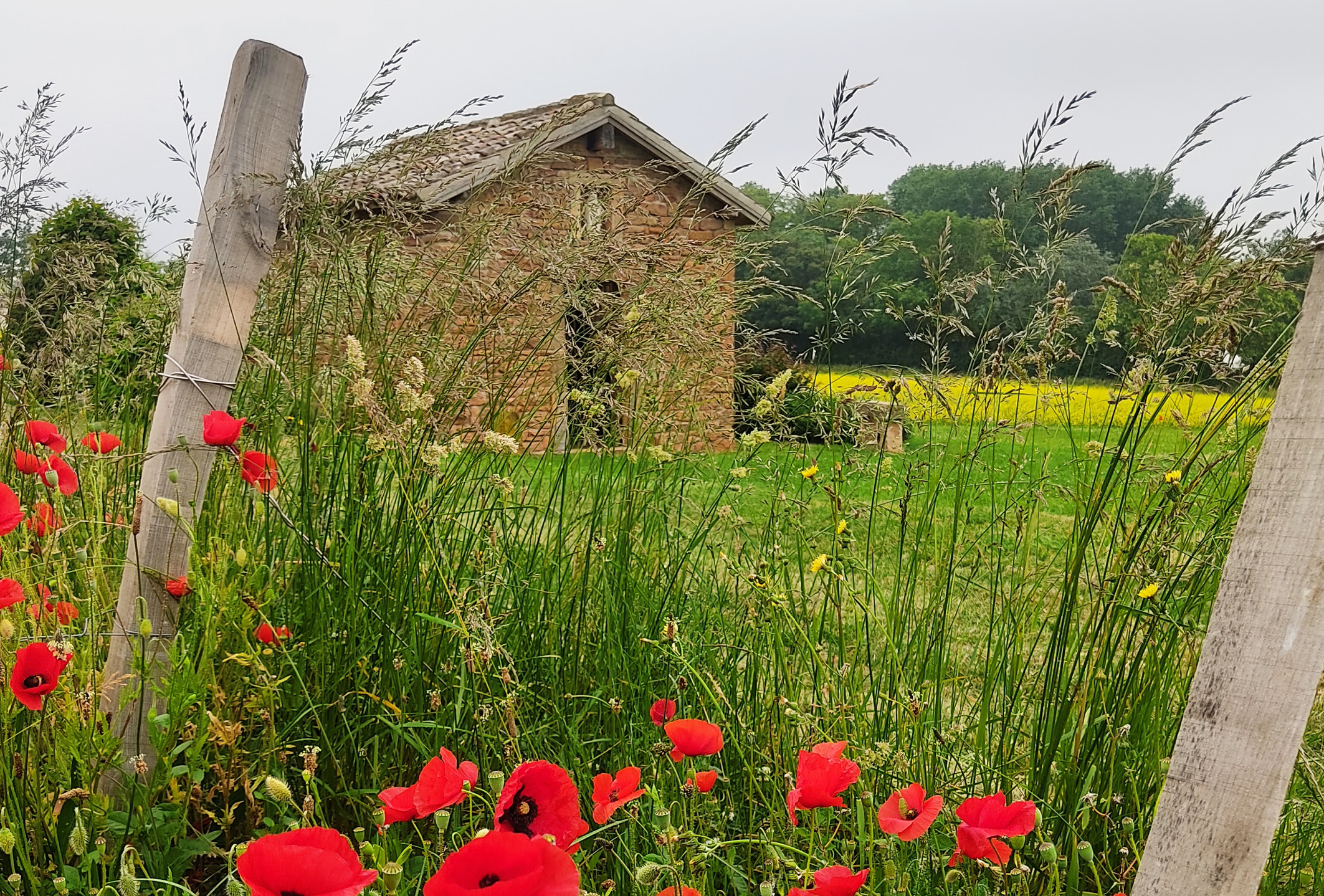 Visite commentée du Domaine de Champgrenon