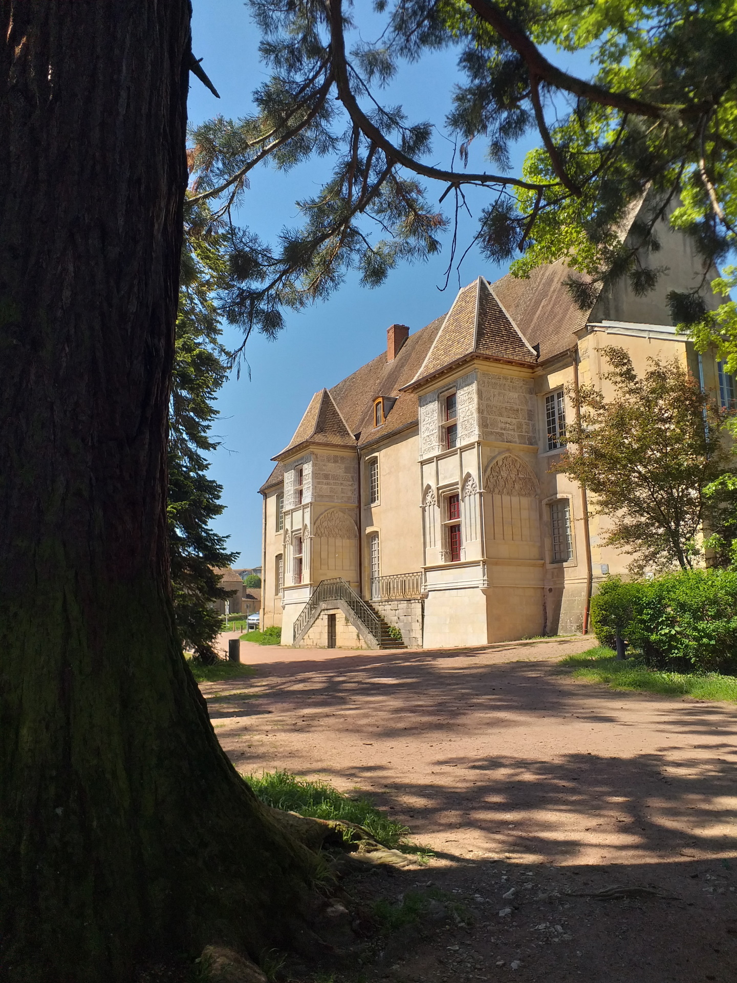 visite végétale Cluny 2025