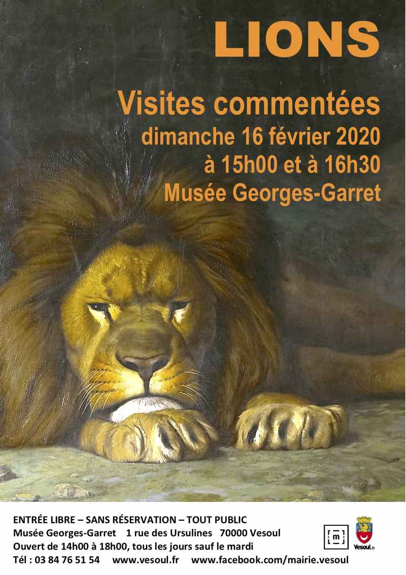 Visite Lions