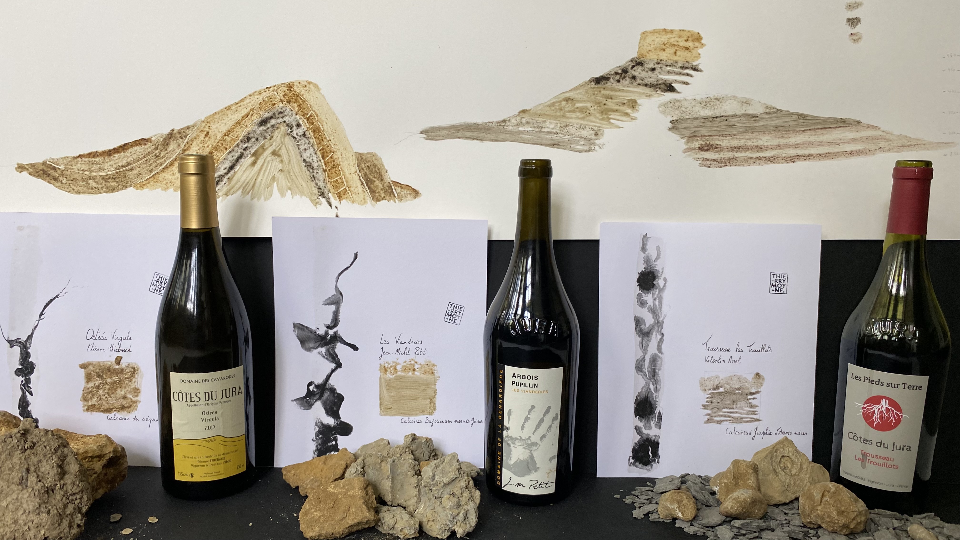 Vins, terres et profils géologiques réalisés avec les terres