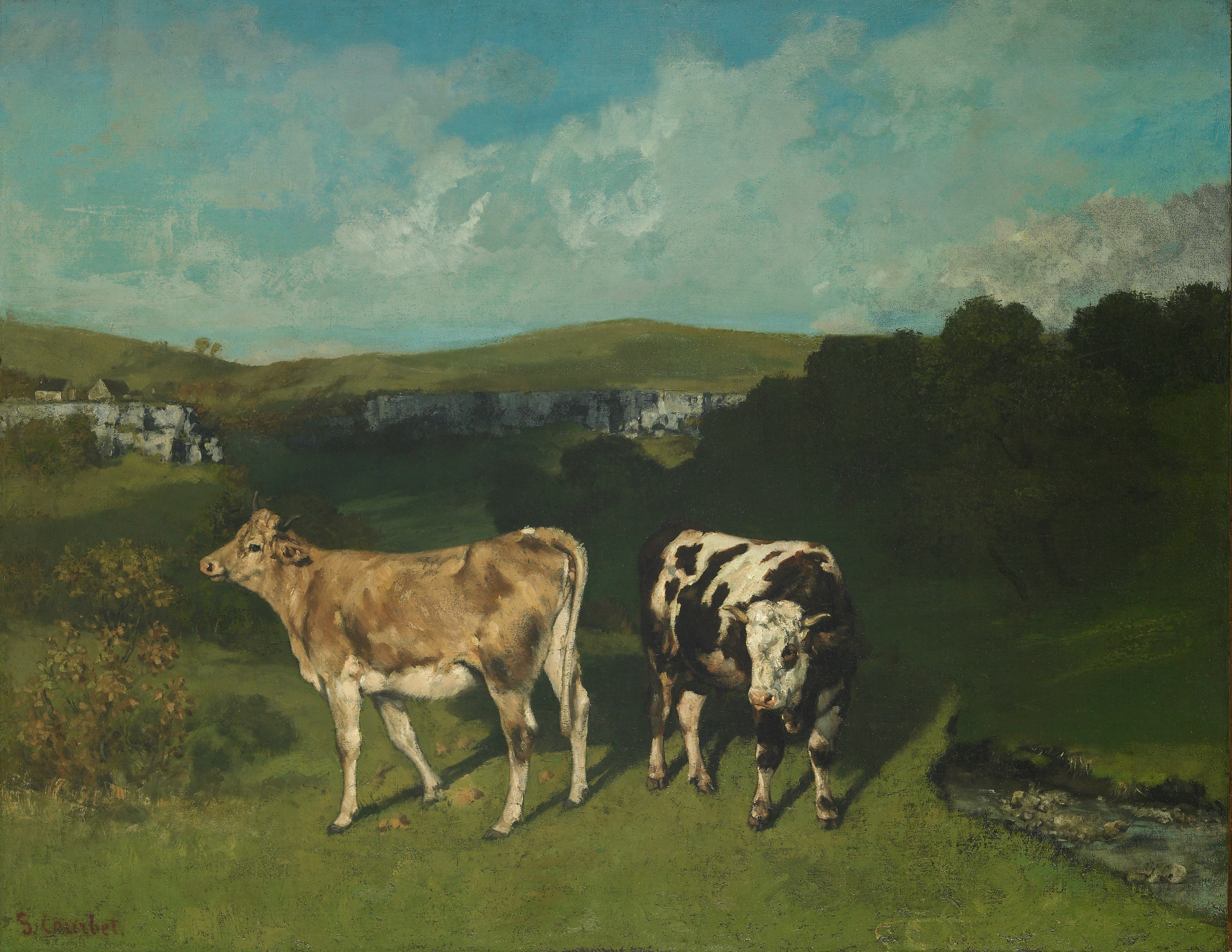 Taureau blanc et génisse blonde, Gustave Courbet