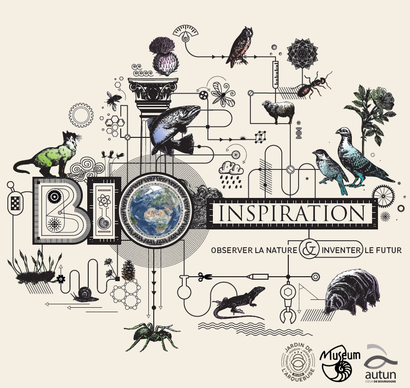 visuel expo tempo & atelier bio-inspiration