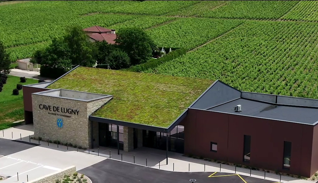 vlcsnap-2019-09-26-16h44m28s382_2_2