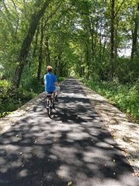 Voie verte de la Vallée de l'Ognon