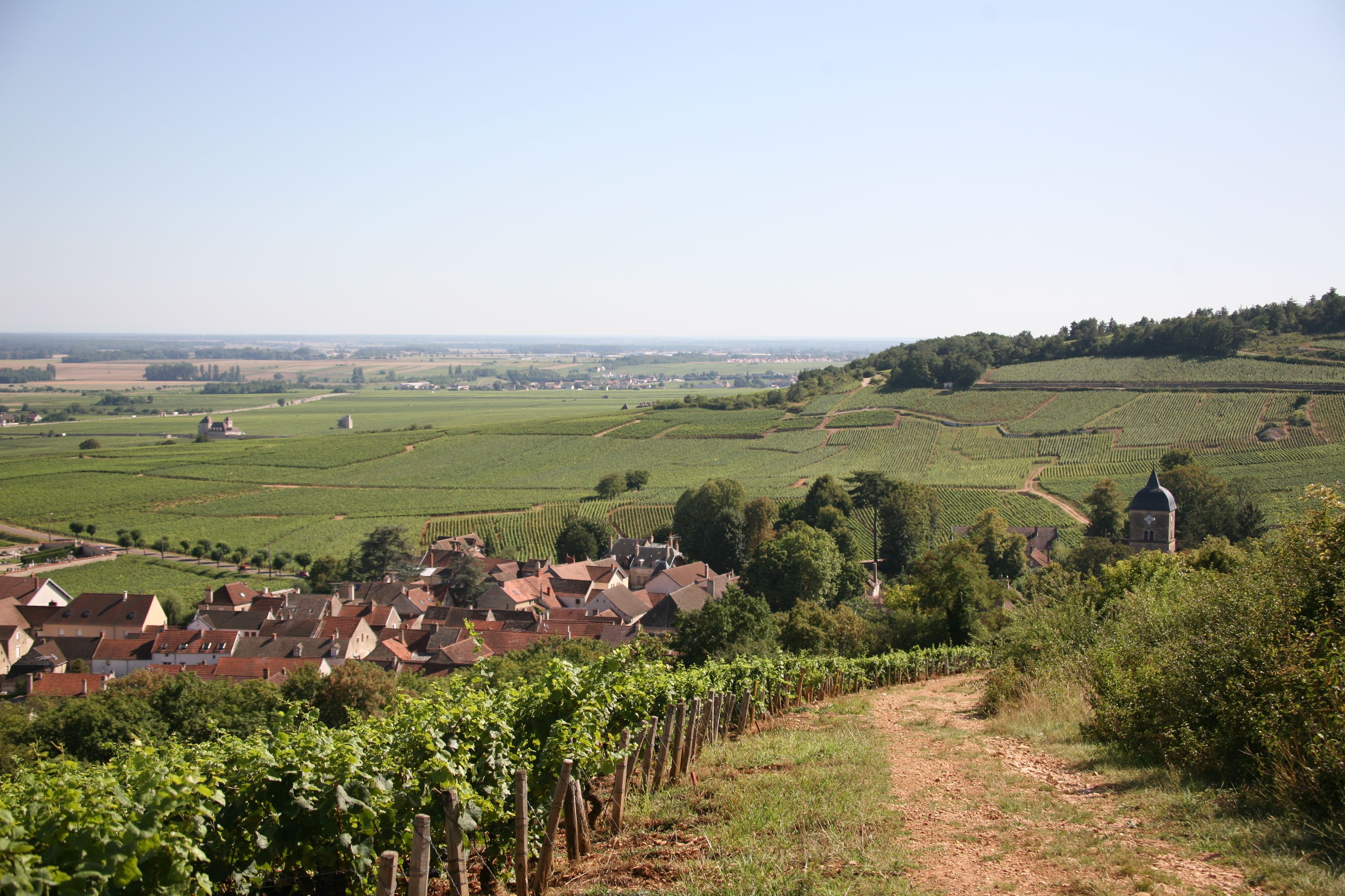 Journée Thématique : 