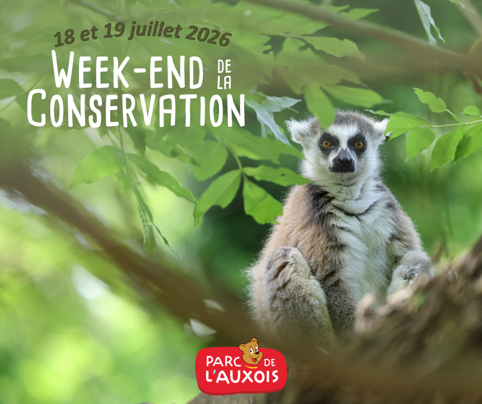 Week-end dédié à la conservation des espèces menacées