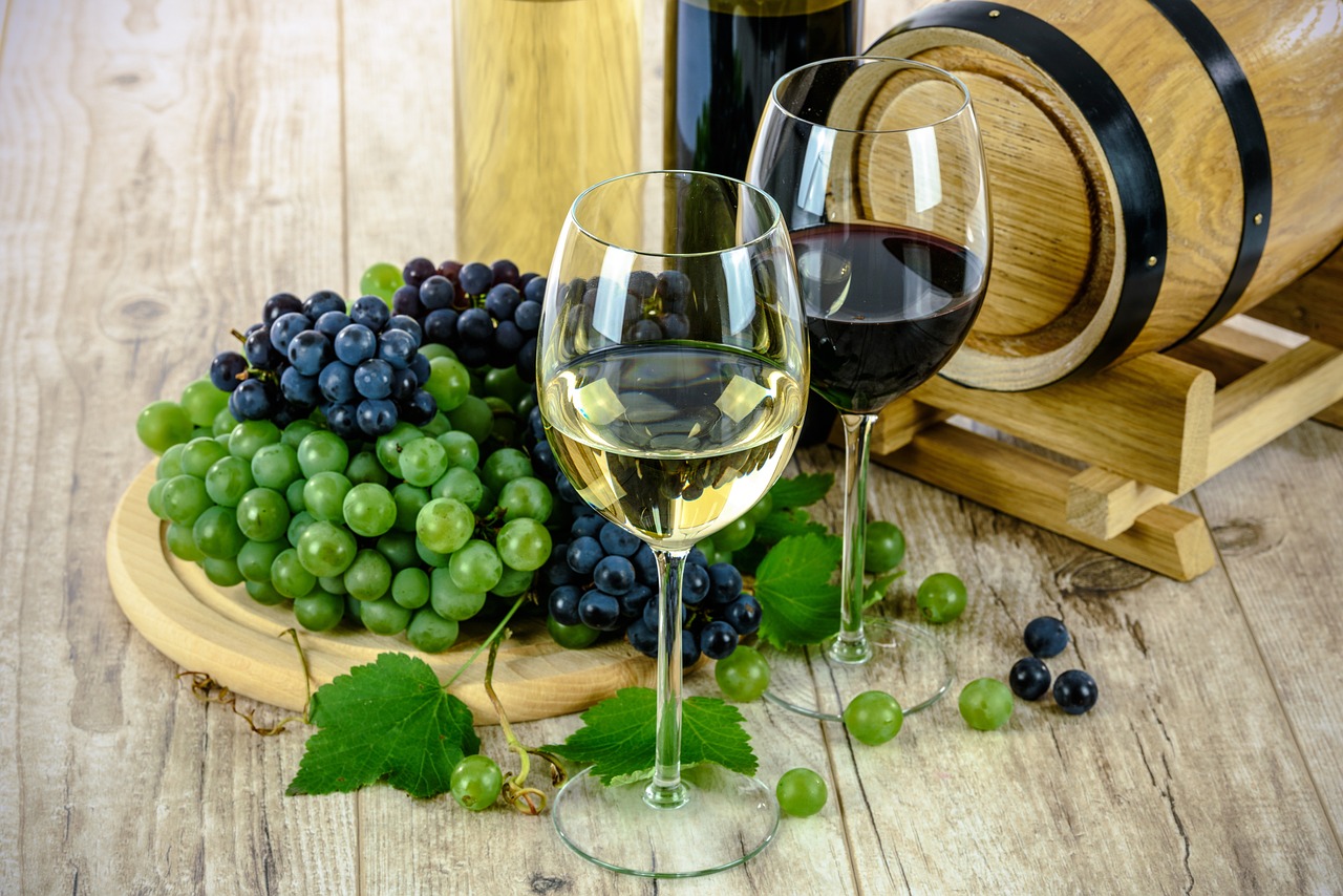 Dégustation de vins élevés en amphore