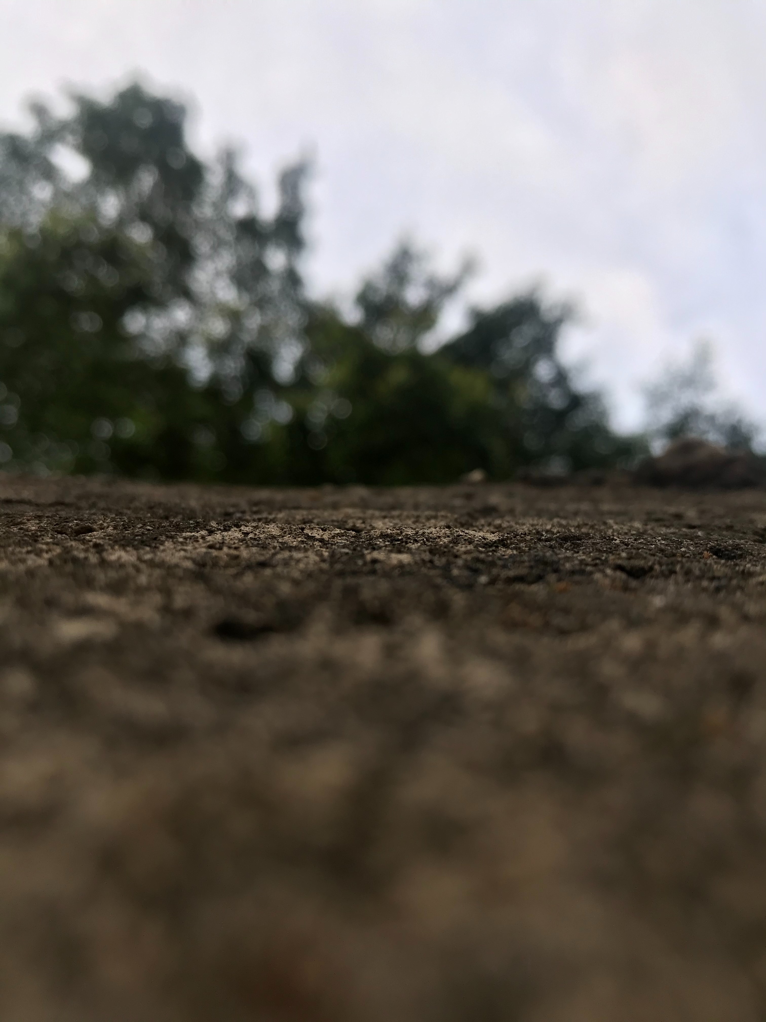 wisdom-mudasiru-yb2GIDgtnDc-unsplash